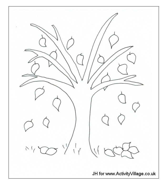 680x774 Oak Tree Coloring Page