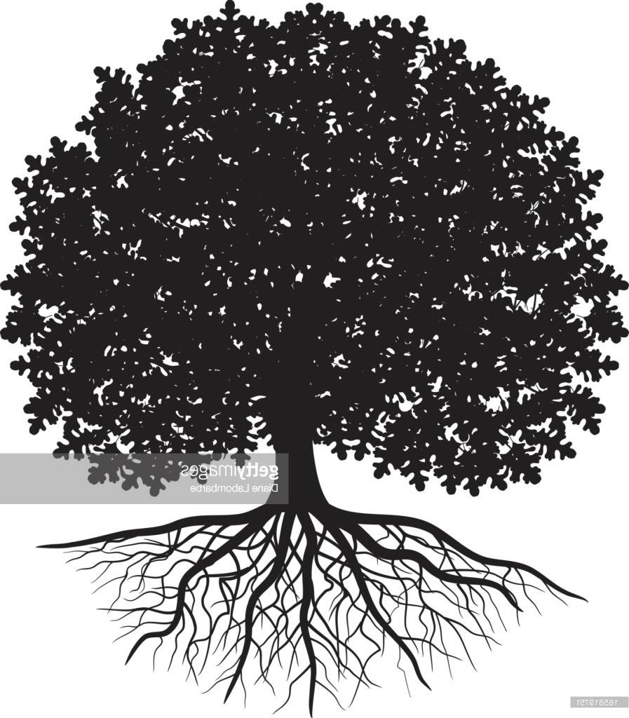 897x1024 Unique Black Silhouette Of Oak Tree With Leaves And Visible Roots