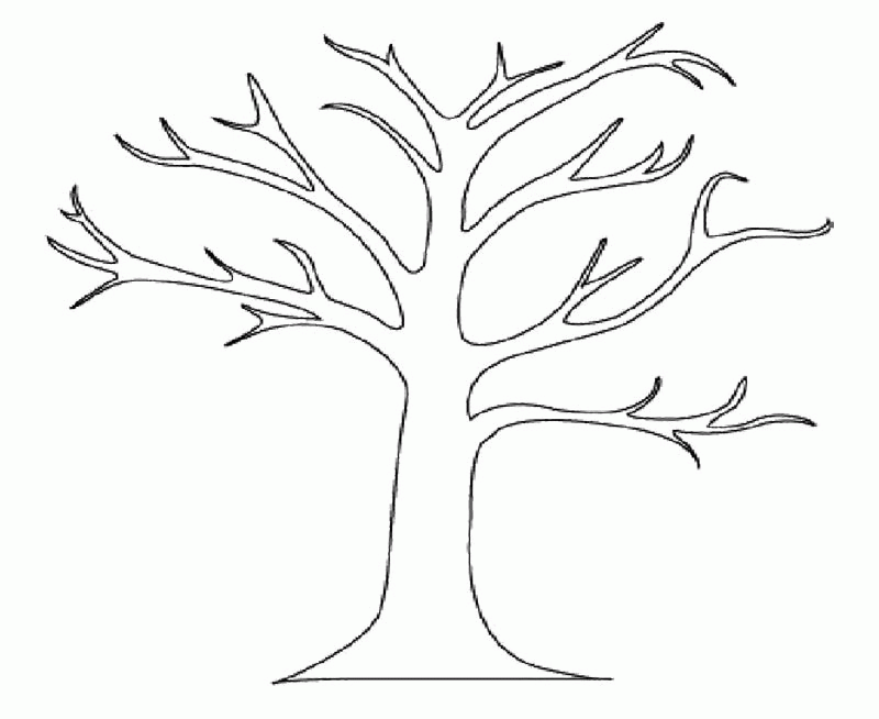 800x654 A Bare Tree Colouring Pages Crafts Calendar Ideas