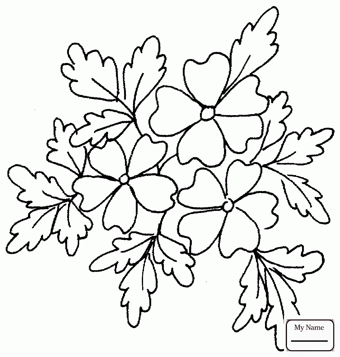 1129x1185 Coloring Pages For Kids Trees Leaves Oaks Oak Tree Leaf