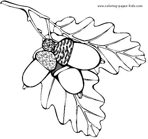 490x460 Coloring Book Picture Of Oak Leaves Coloring Picture Of Oak Leaf