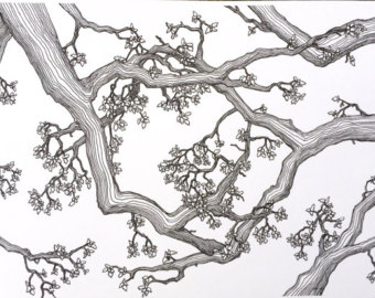 340x270 Oak Tree Art Print Old Oak Tree. Original Woodcut Botanical