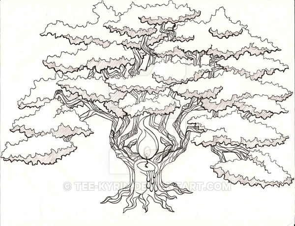 600x461 Oak Tree Drawing