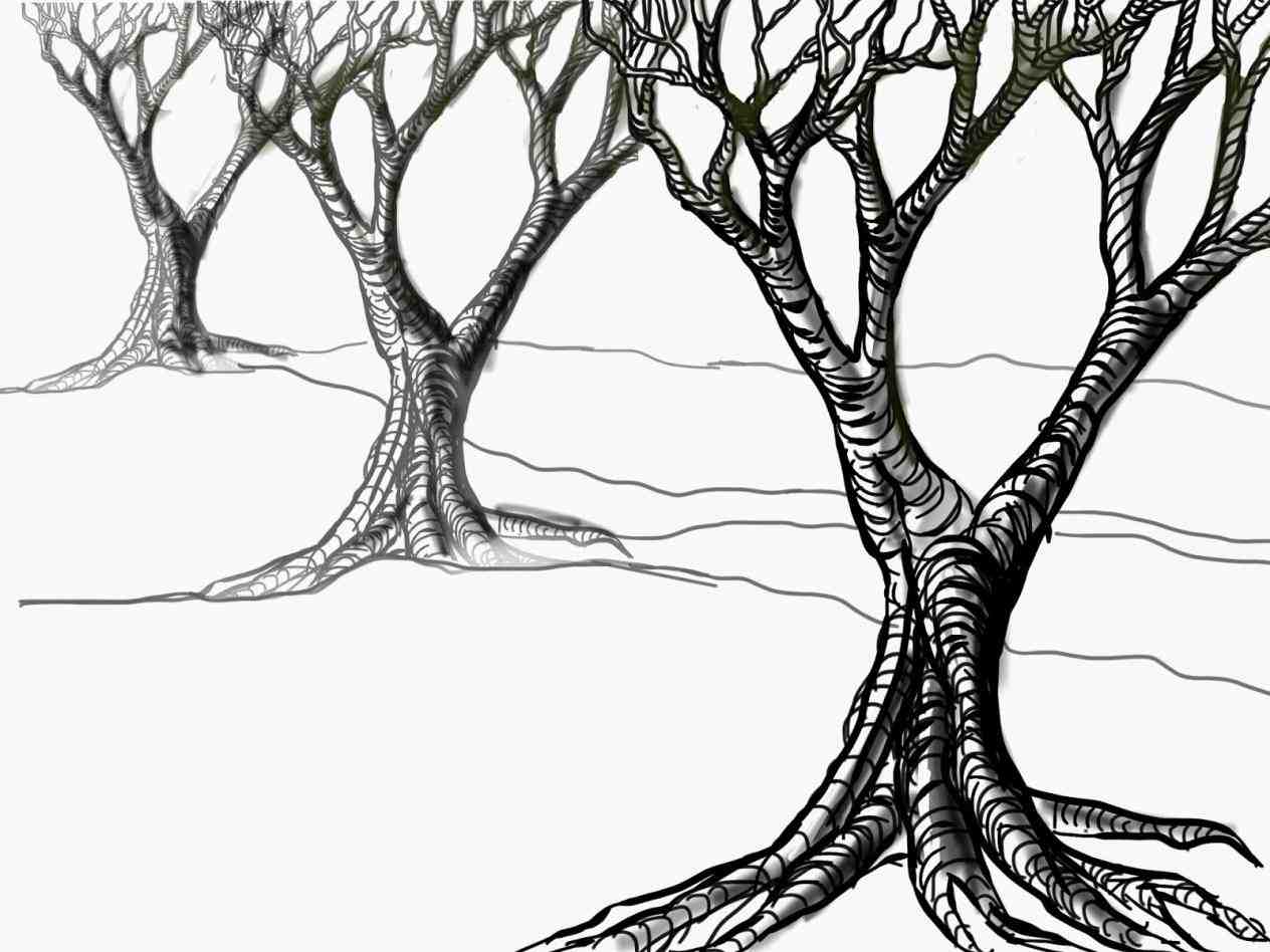 1264x948 Simple Pencil Drawings Of Trees