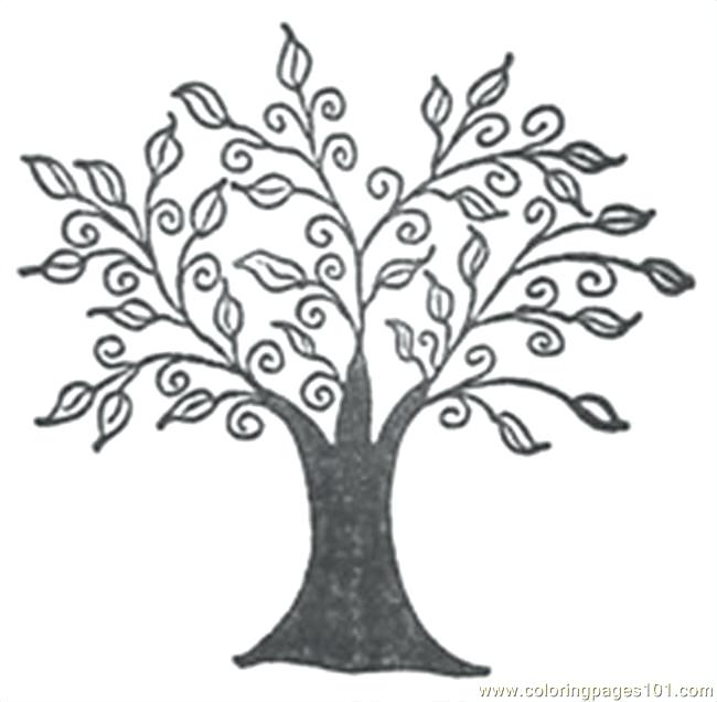 650x636 Coloring Pages Of Trees Awesome Drawing Oak Tree Coloring Page
