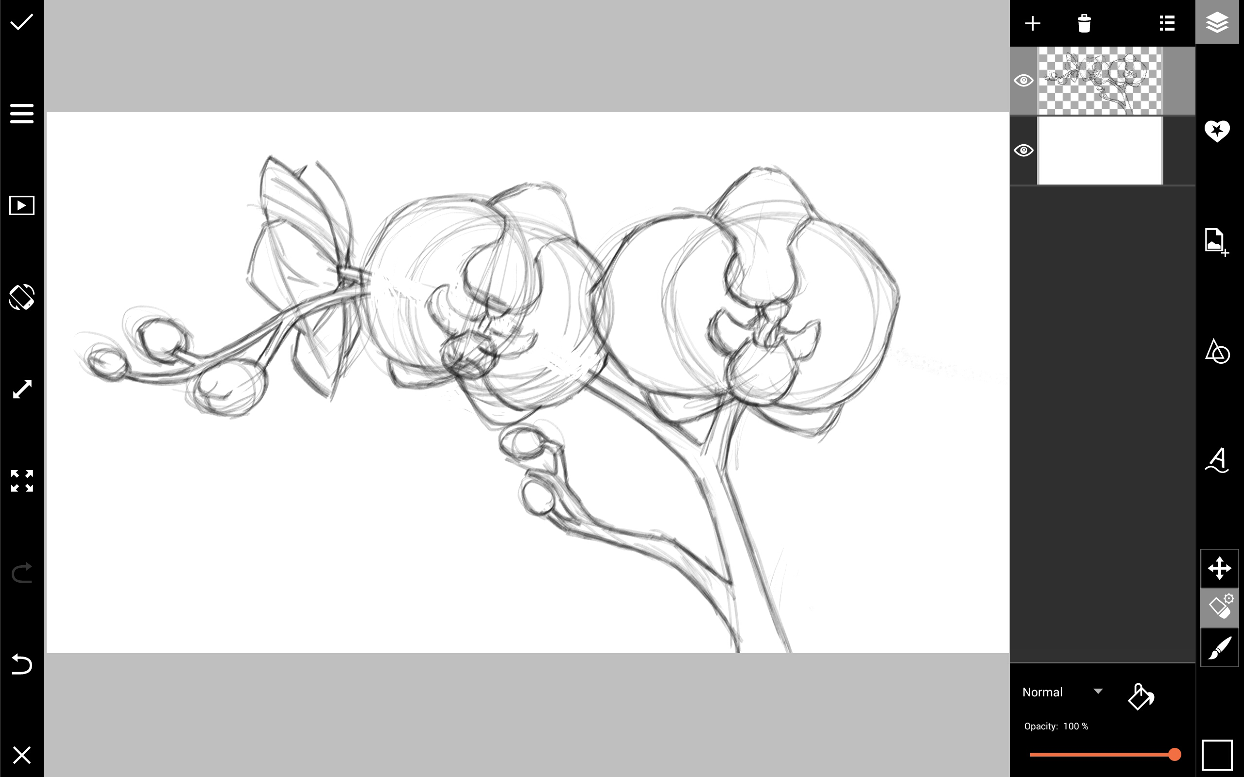 2560x1600 How To Draw Orchids With Picsart