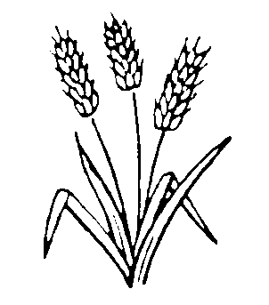 302x343 Oats Coloring Pages
