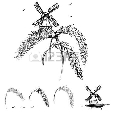 450x450 Hand Drawn Set Of Oats, Oatmeal, Oat Grain. Sketch. Vector Eps