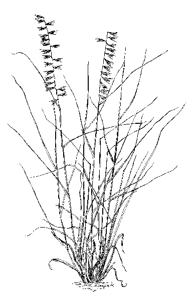 381x580 Balcones Escarpment