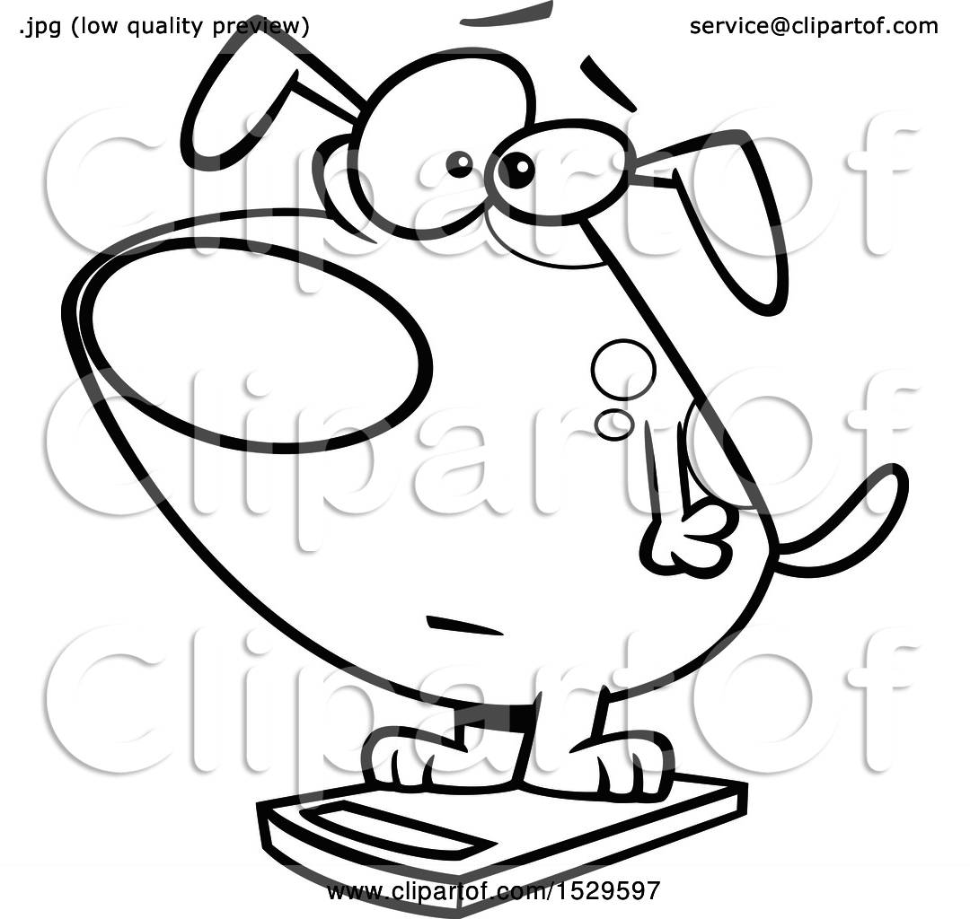 1080x1024 Clipart Of A Cartoon Lineart Obese Dog On A Scale