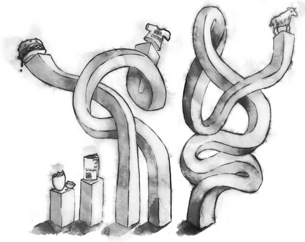 1024x811 Curbing Obesity In Australia