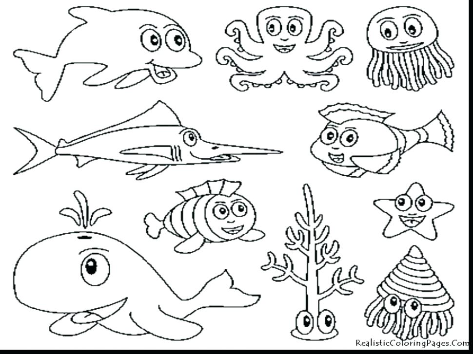 970x727 Amazing Ocean Animal Coloring Pages Best Of Drawing Animals Full