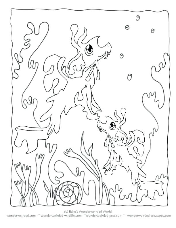612x792 Free Printable Cartoon Coloring Pages Free Printable Ocean