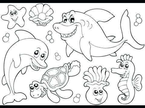 480x360 Cartoon Animals Coloring Pages Coloring Pages Sea Animals Pin