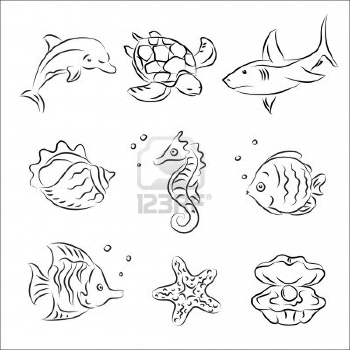 1200x1200 Drawings Of Sea Animals Draw A Sea Animal Stepstep