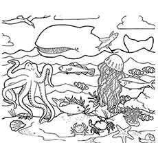 230x230 35 Best Free Printable Ocean Coloring Pages Online