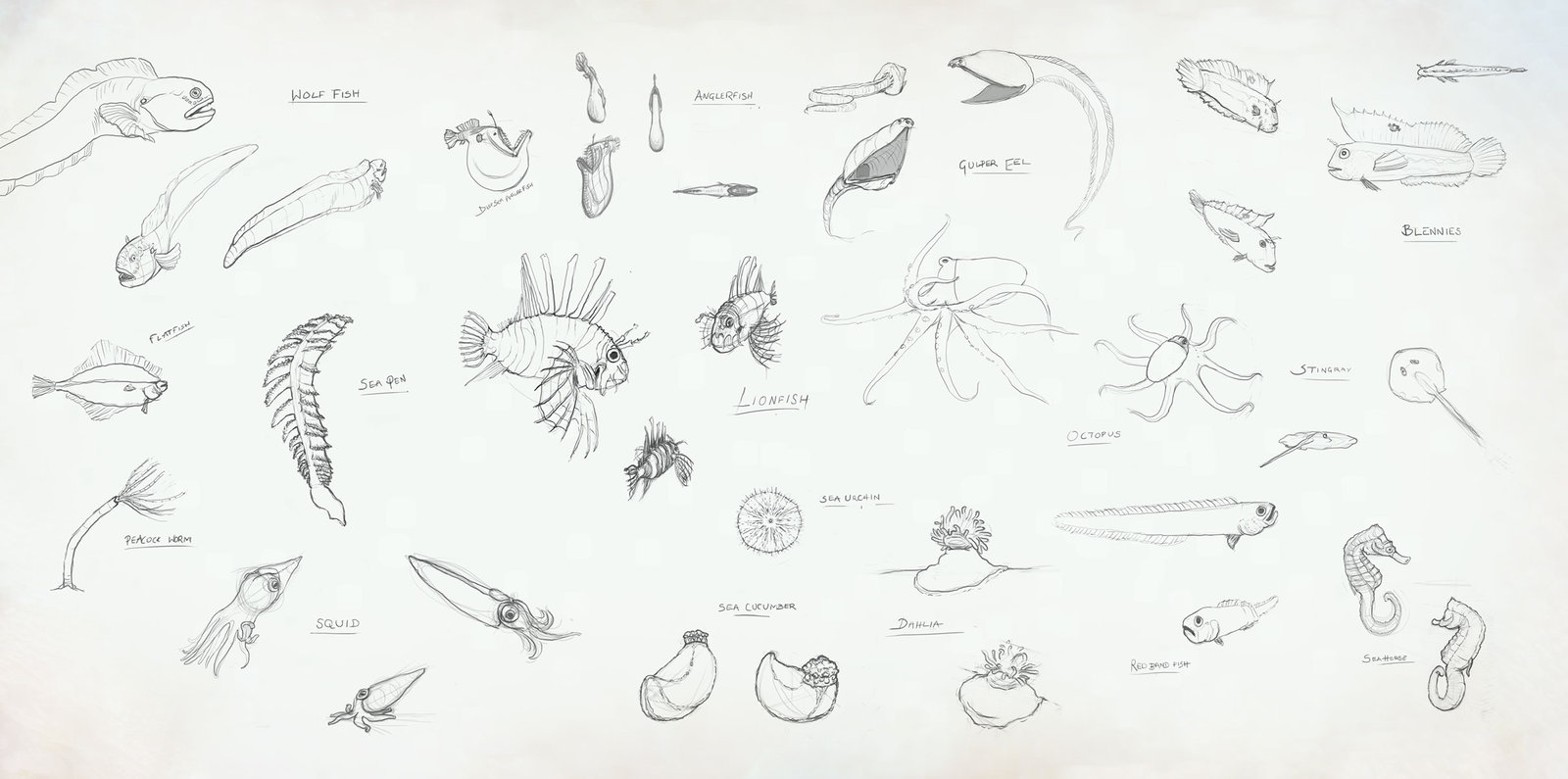 1600x795 Ocean Life Sketch Collection By Tdman45