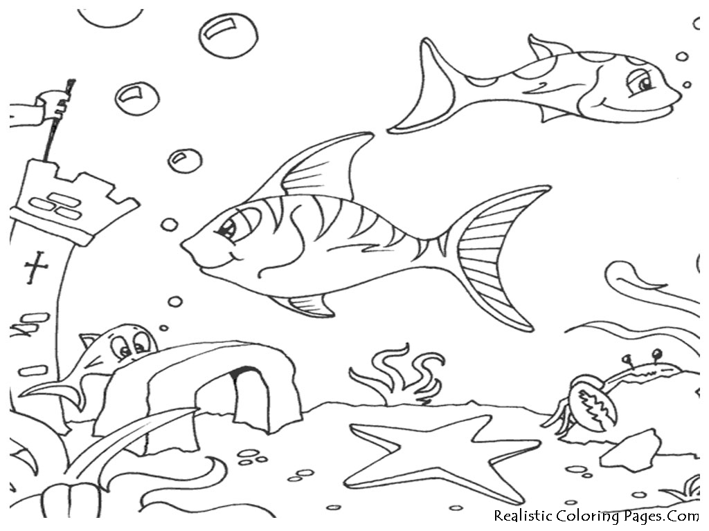 1024x768 Top Ocean Coloring Pages Kids Design Gallery