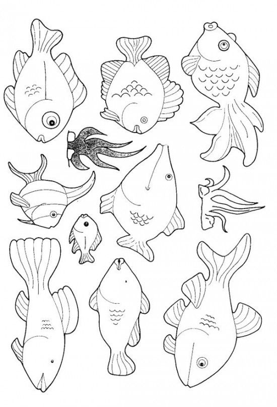 550x808 Fish Examples To Help Kids Get Started Kids Creativity
