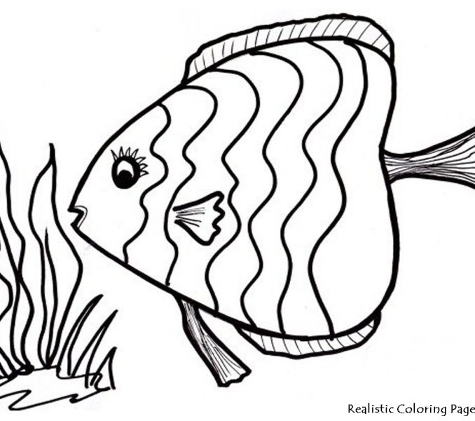 678x600 Drawing Coloring Pictures Of Fish 58 On Coloring Online