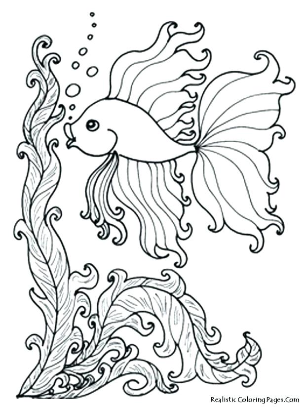 618x824 Ocean Fish Coloring Pages Ocean Fish Coloring Pages Free Download