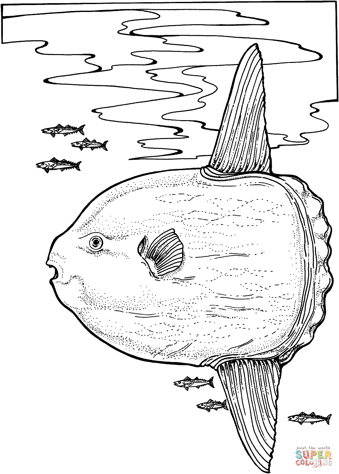 1077x1507 Ocean Sunfish Coloring Page Free Printable Coloring Pages