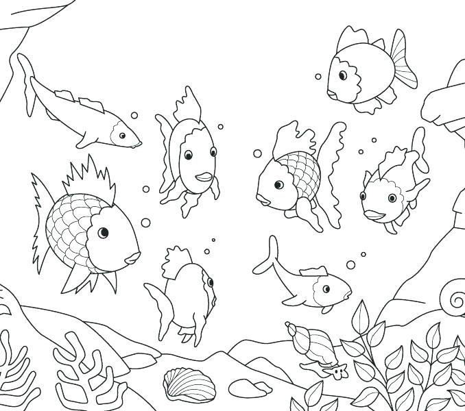 678x600 Fishing Coloring Pictures Genesisar.co