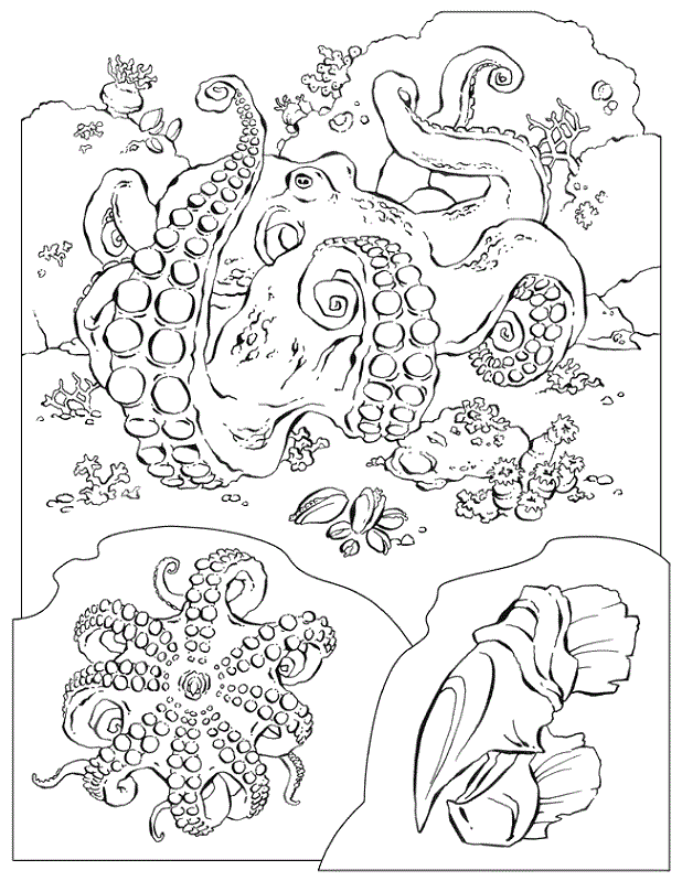 618x799 Floor Coloring Pages