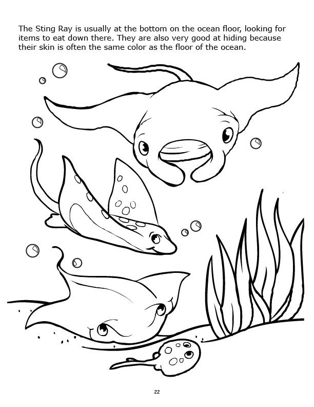 612x792 Coloring Books Underwater Adventure Marine Life Coloring Book