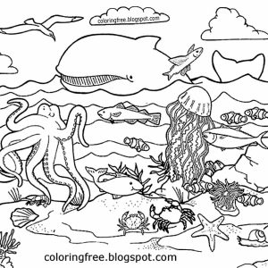 300x300 Coloring Pages Of The Ocean Floor Best Of Ocean Floor Coloring