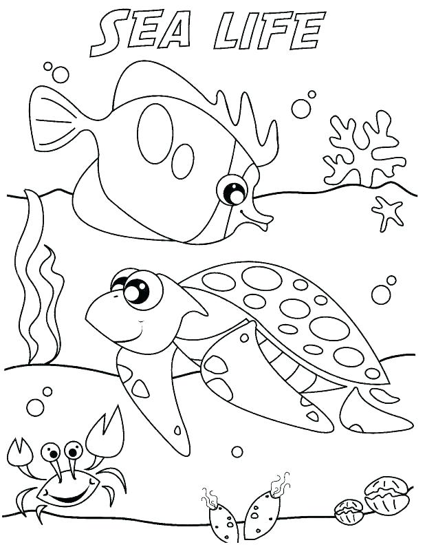 618x811 Marine Coloring Pages Ocean Life Coloring Pages Plus Ocean