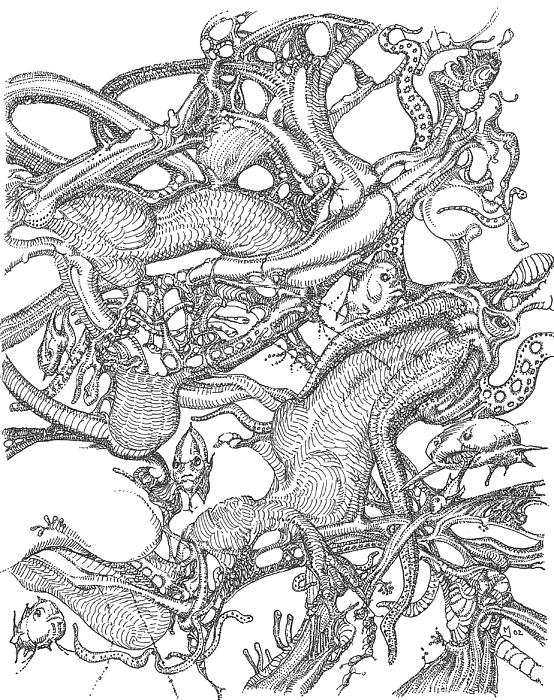 554x700 Marine Life Drawing By Mark Johnson