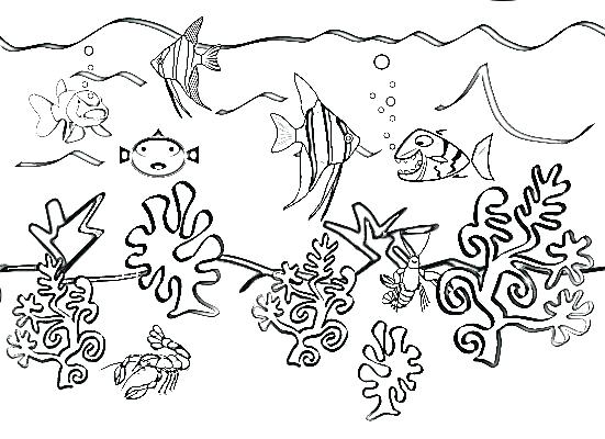551x400 Ocean Animals Coloring Pages Full Size Of Coloring Drawing Ocean