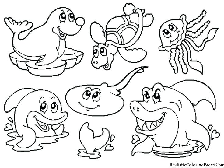 736x552 Ocean Life Coloring Pages Pin Drawn Sea Life Kindergarten