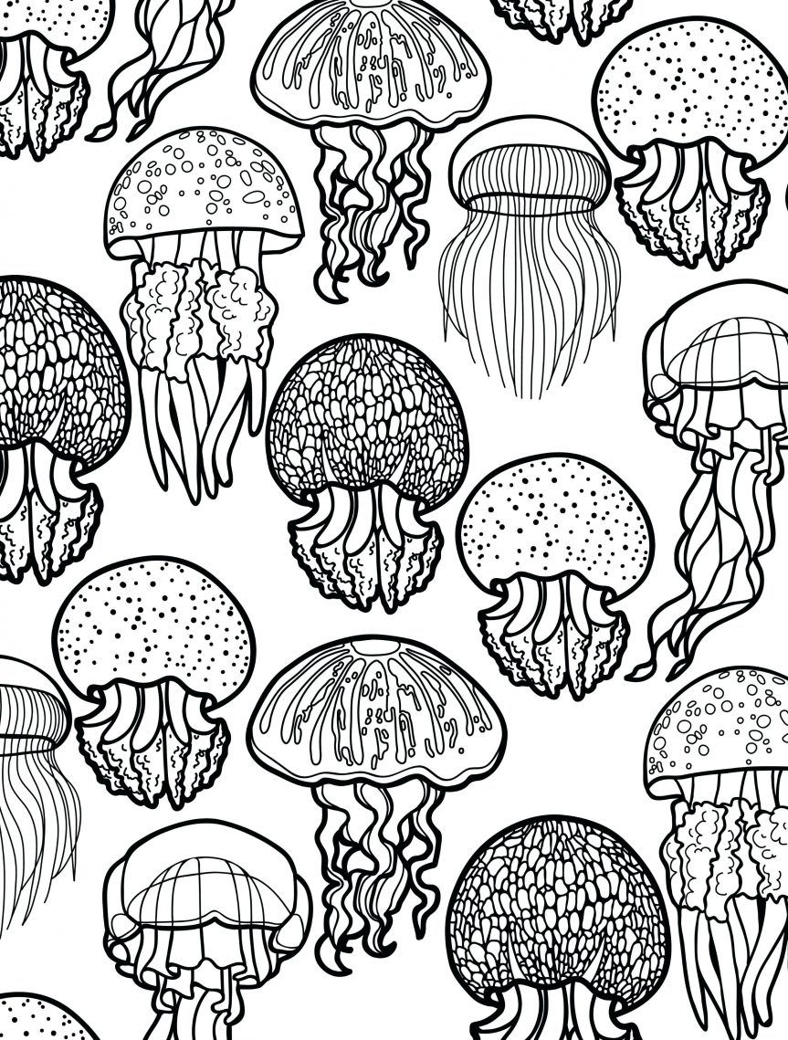 863x1139 Pretentious Ocean Coloring Pages For Adults Free Printable Insect