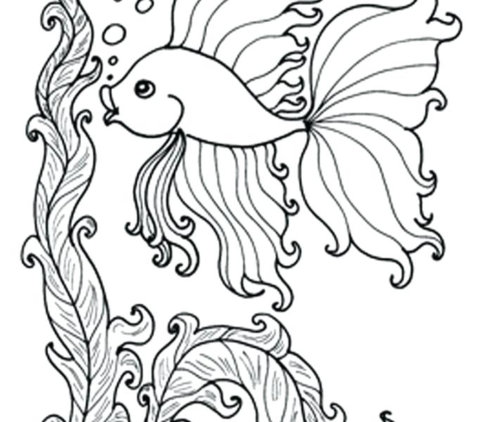678x600 Underwater Coloring Pages Full Size Of Coloring Drawing Ocean