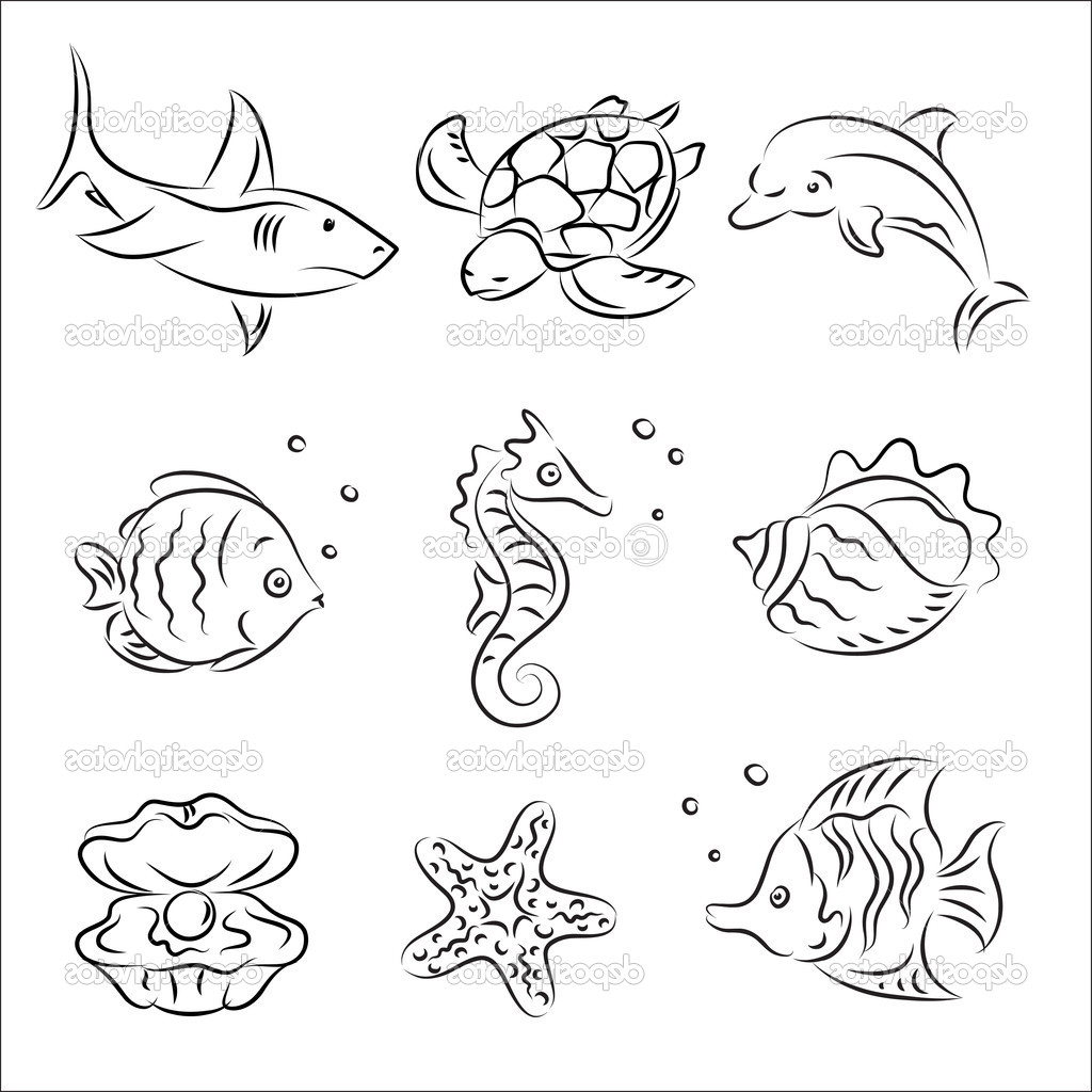 1024x1024 Any Five Sea Animals Drawing Images Drawn Sea Life Ocean Animal