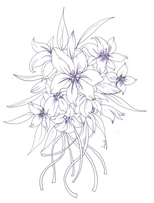 600x794 Lilium Flower Drawing By Ocean Sarina