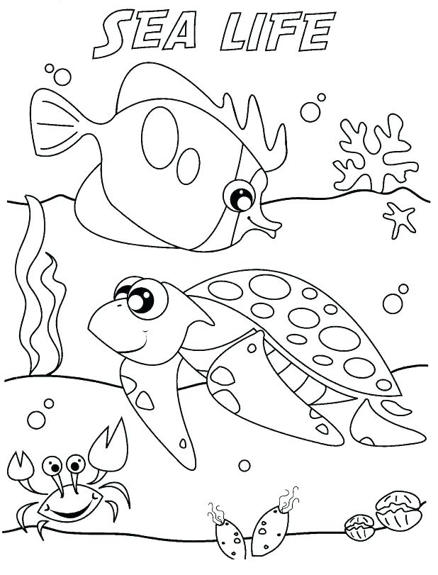 618x811 Ocean Life Coloring Pages Pin Drawn Sea Life Kindergarten