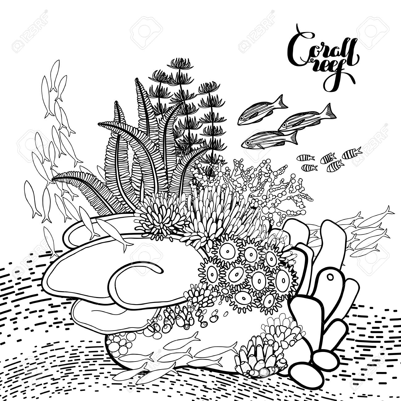 1300x1300 Coral Reef In Line Art Style Ocean Plants And Rocks Isolated