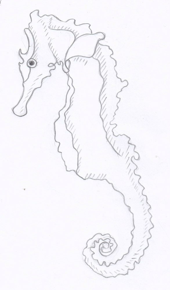 586x1000 Weekly Doodles And Tuts August 2013