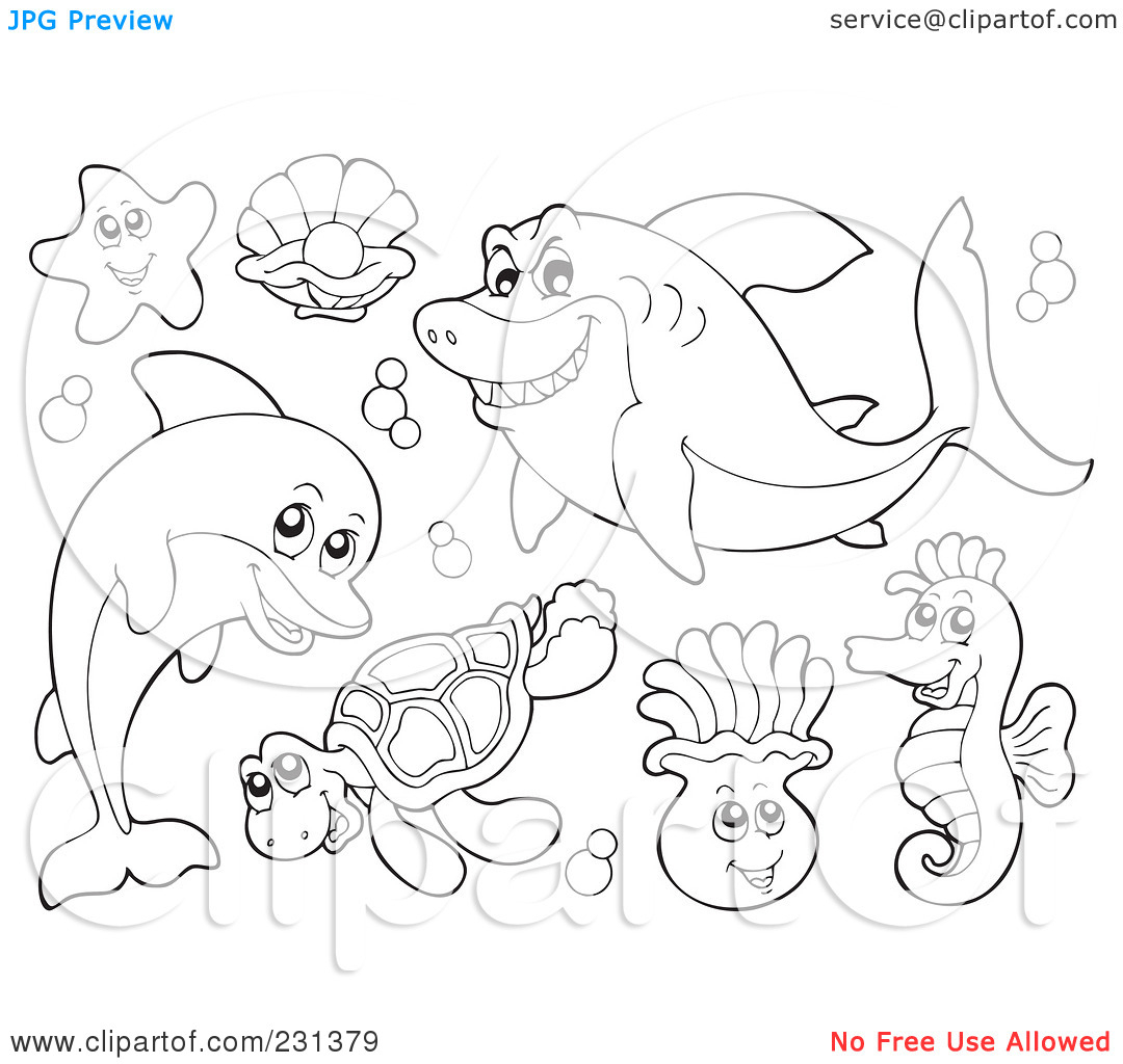1080x1024 Any Five Sea Animals Drawing Images Drawn Sea Life Ocean Animal