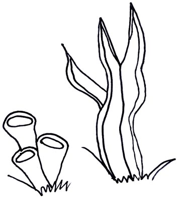 352x397 Ocean Plants Coloring Pages Therapy Stuff