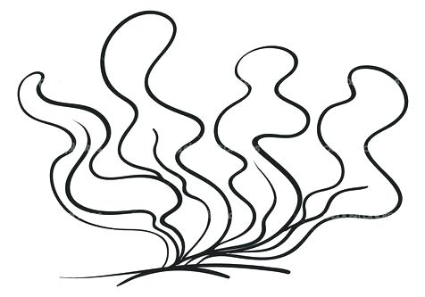476x333 Ocean Plants Coloring Pages As Coloring Pages Of The Ocean
