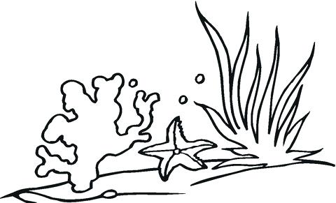 480x291 Ocean Plants Coloring Pages Full Size Of Coloring Coral Coloring