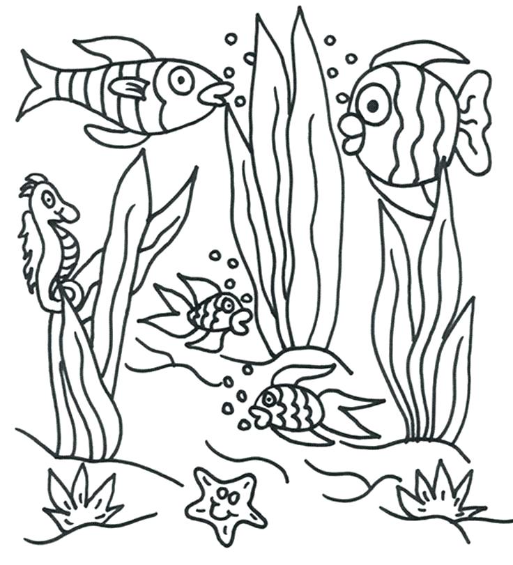 736x811 Plants Coloring Pages Ocean Plants Coloring Pages Coloring Pages