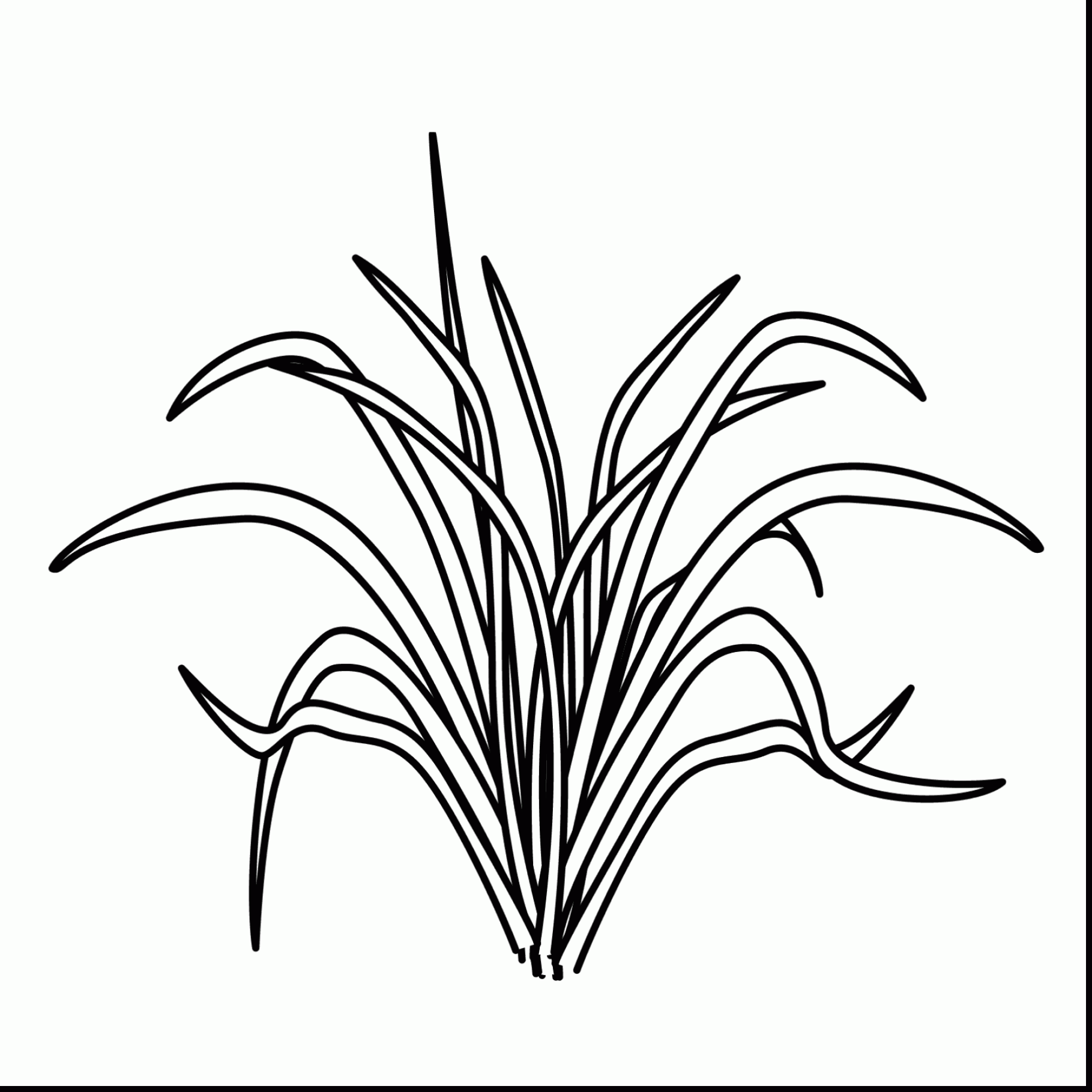 1819x1819 Plants Coloring Pages