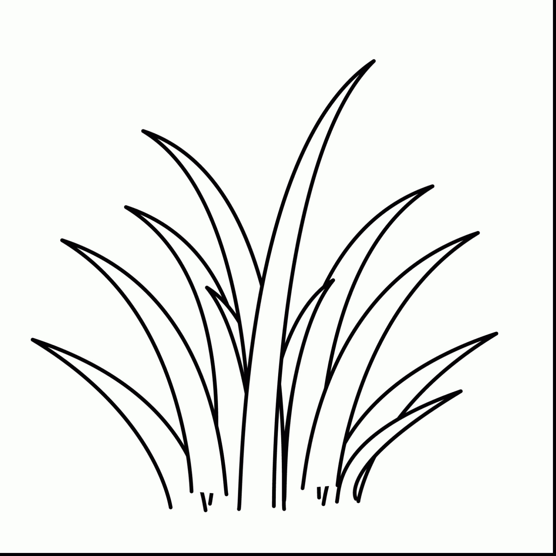 1819x1819 Sea Plants Coloring Pages