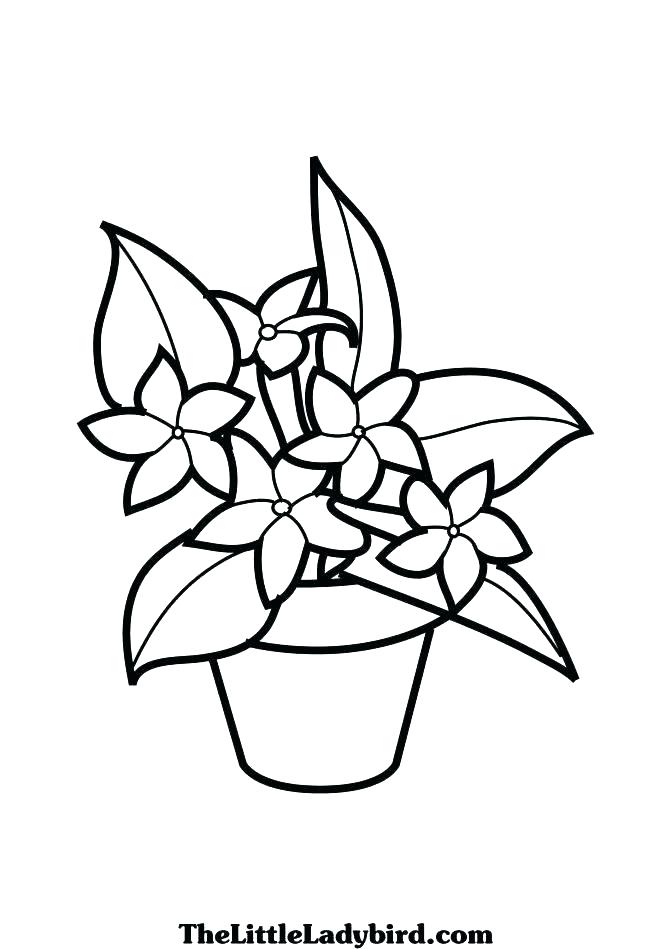 671x949 Coloring Pages Plants
