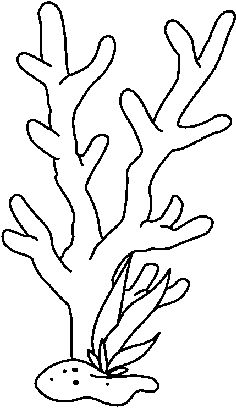 236x408 Coral Drawing For Kids